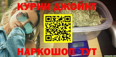 гидра Будённовск