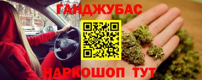 гидра Будённовск