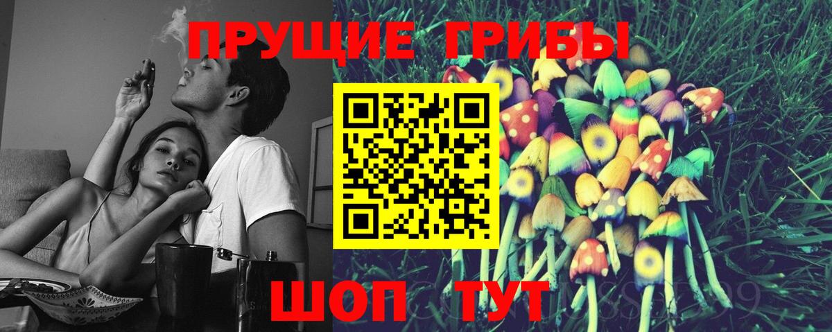 наркота  Вход с VPN  Сегежа  Псилоцибиновые грибы ЛСД  Псилоцибиновые грибы MAGIC MUSHROOMS 